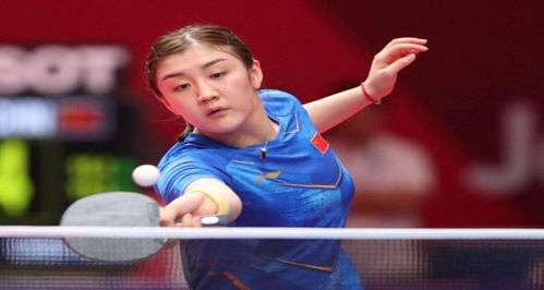 的竞争与激 的竞争与激