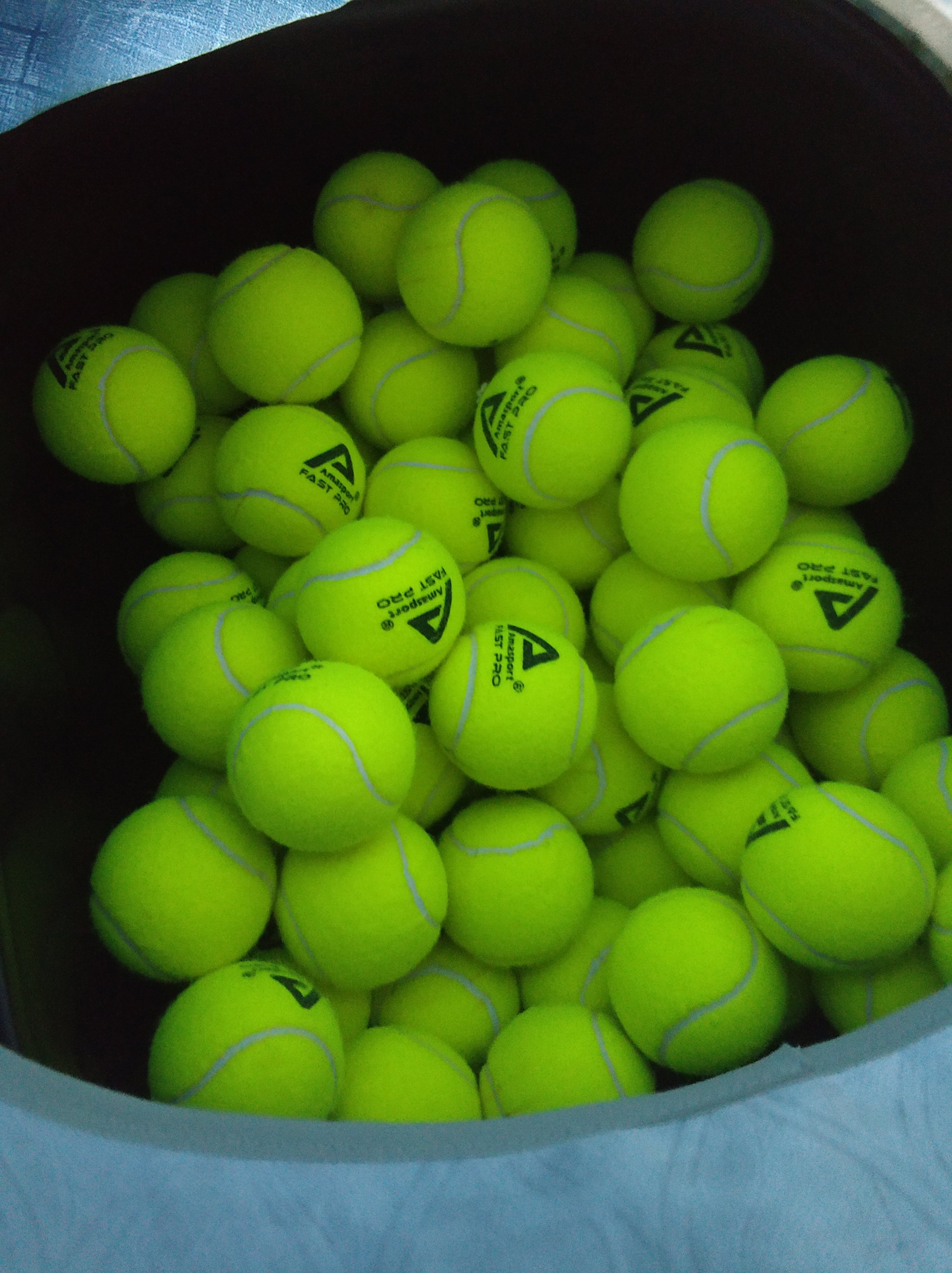 再次验证了 再次验证了